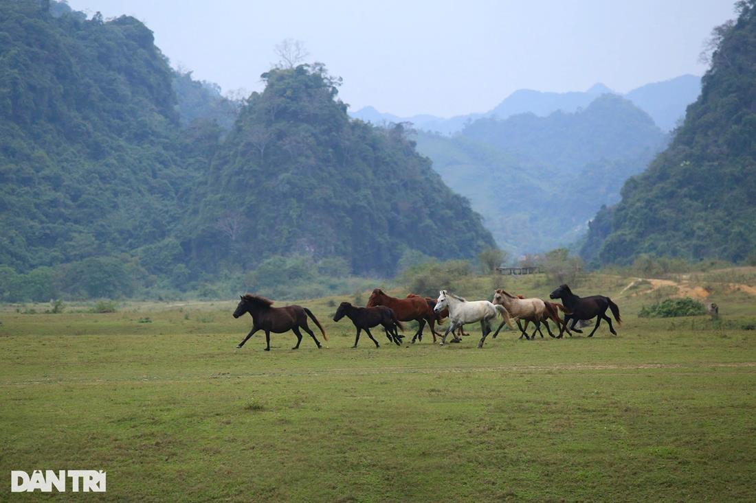 Dòng sông cạn, rồng cuộn: Hãy đắm mình vào hình ảnh dòng sông cạn khô trở nên bùng nổ với hình ảnh rồng cuộn nổi lên từ đáy sông. Chúng ta sẽ được chứng kiến một khoảnh khắc thần tiên và đầy kỳ bí của tự nhiên.